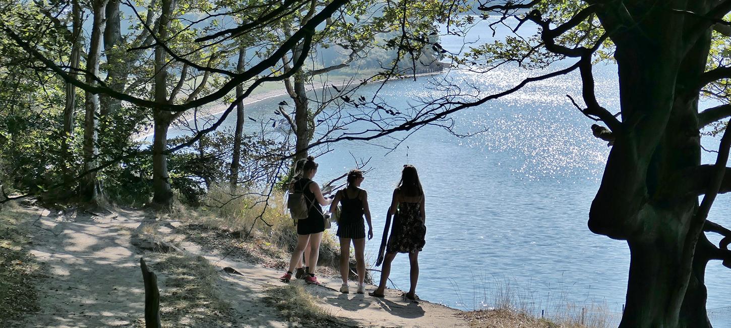 Lillebæltsstien- smuk udsigt fra Gals Klint