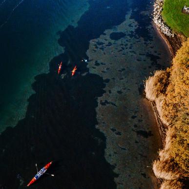 Kajaktur på Fænøsund i Middelfart