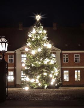 Det smukt pyntede juletræ foran Hindsgavl Slot